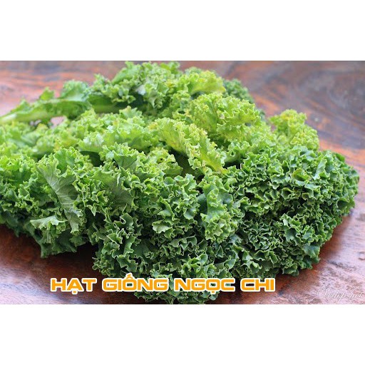 Hạt Giống Rau Cải Xoăn Xanh (Cải Xoăn Kale) - 0.5Gr