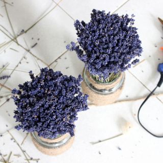 Combo 2 lọ lavender khô vintage