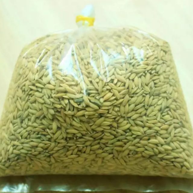 Combo 5 kg thóc cho chim cảnh, gà cảnh