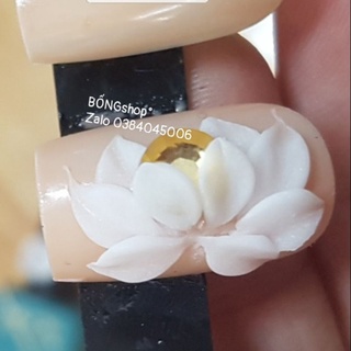 Hoa bột nail trang trí móng tay