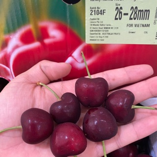 [Chỉ giao siêu tốc KV HCM] Cherry Úc mới về