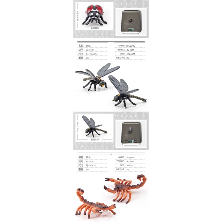 Mô Hình Côn Trùng Bọ Cánh Cứng Giả Lập Cho Bé