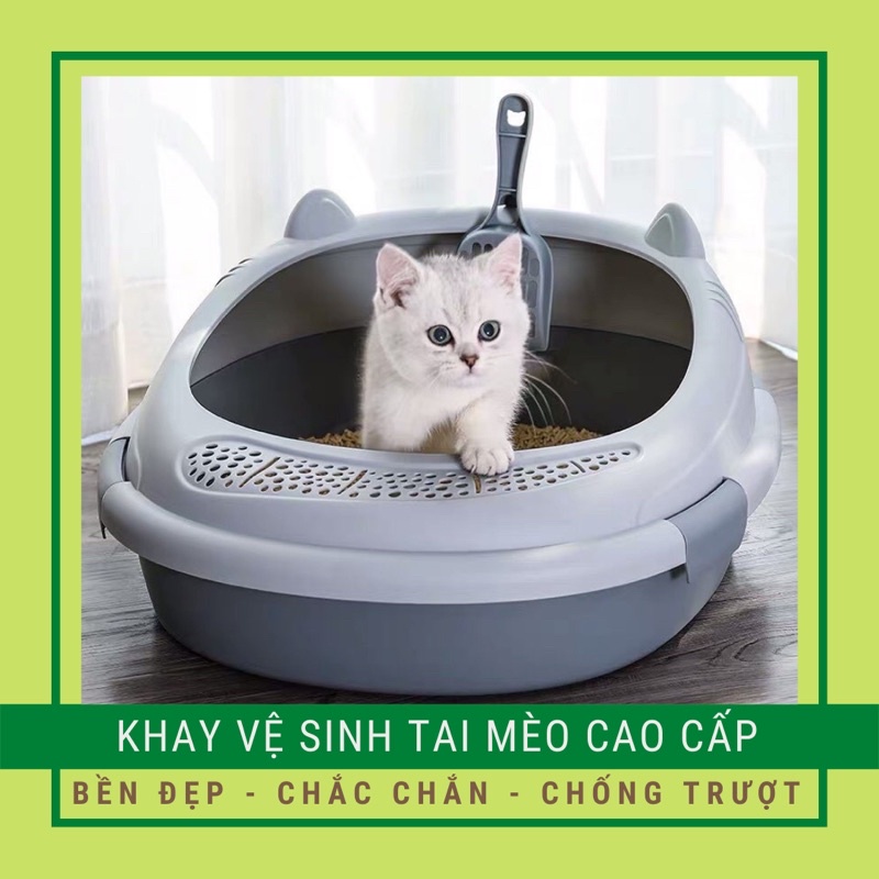 Khay Vệ Sinh Cho Mèo, Thau Cát, Chậu Cát Tai Mèo Siêu To - Kèm Xẻng  | To Bền - Dày Đẹp - Chắc Chắn