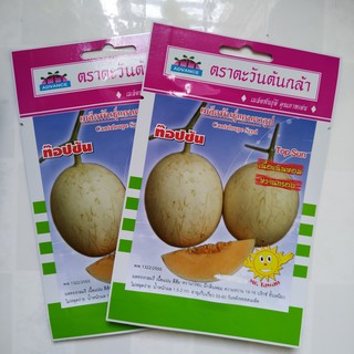 DƯA ĐỎ NỮ THẦN MẶT TRỜI (CANTALOUPE )
