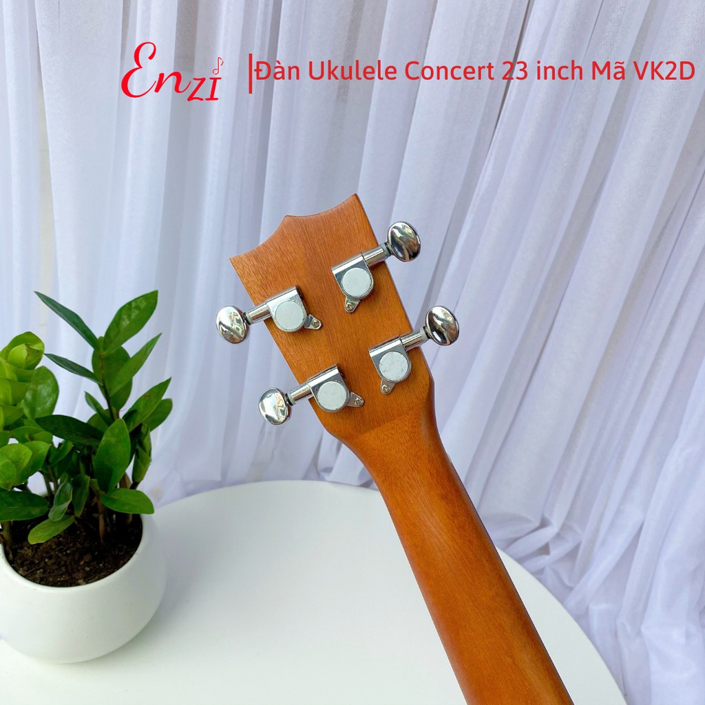 Đàn ukulele concert VK2D Enzi 23 inch gỗ mộc trơn khóa đúc cho bạn mới bắt đầu tập chơi