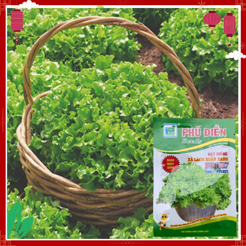 Hạt Giống Xà Lách Xoăn Xanh PD127 Phú Điền- Hạt giống rau củ quả Ngon Ngọt Giòn - Gói 5gr