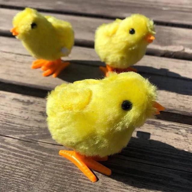 Combo Set 5 Chú gà con chạy cót - Đàn gà con lông vàng 8cm