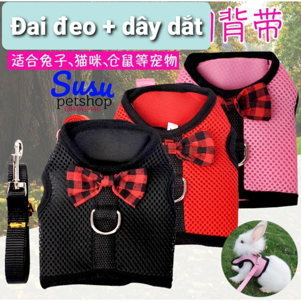 Đai đeo+dây dắt cho Thỏ, Mèo và Bọ