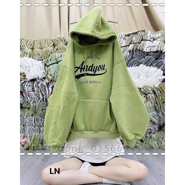 Áo hoodie Andyou cotton nỉ LN12