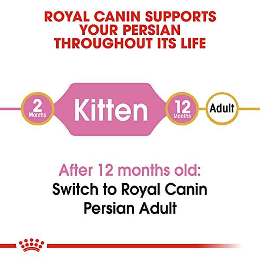 Hạt Royal Canin Persian Kitten Mèo Ba Tư Nhỏ
