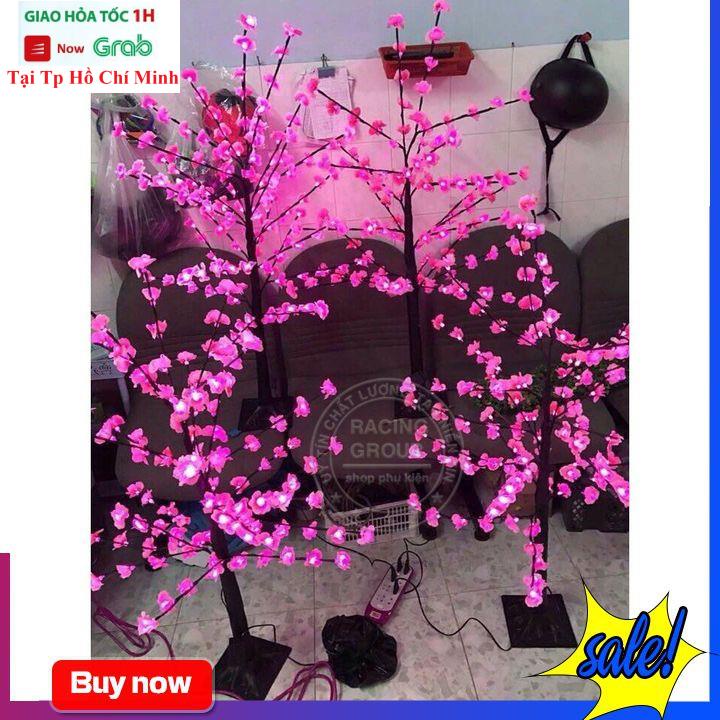 Cây Hoa Mai,Hoa Đào Trang Trí Tết Cực Đẹp Có LED Cao 1m2