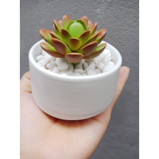 Chậu cây Bát Tràng