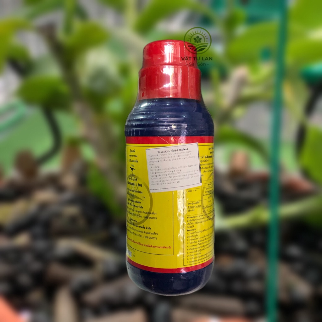 VITAMIN B1 XANH THÁI LAN – KÍCH RỄ, CHỐNG SỐC CHO CÂY- 1 lít