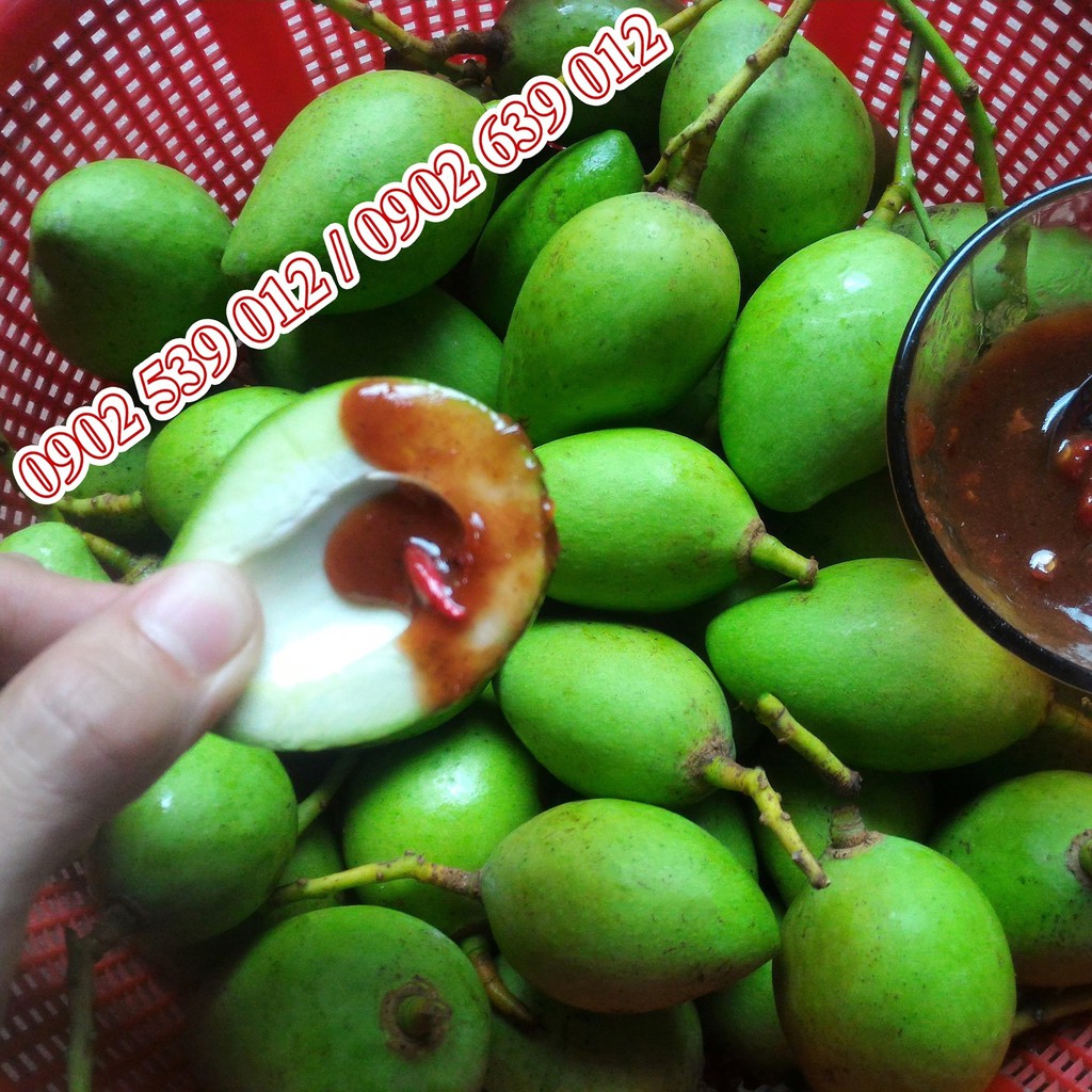 Xoài Non Mắm Ruốc