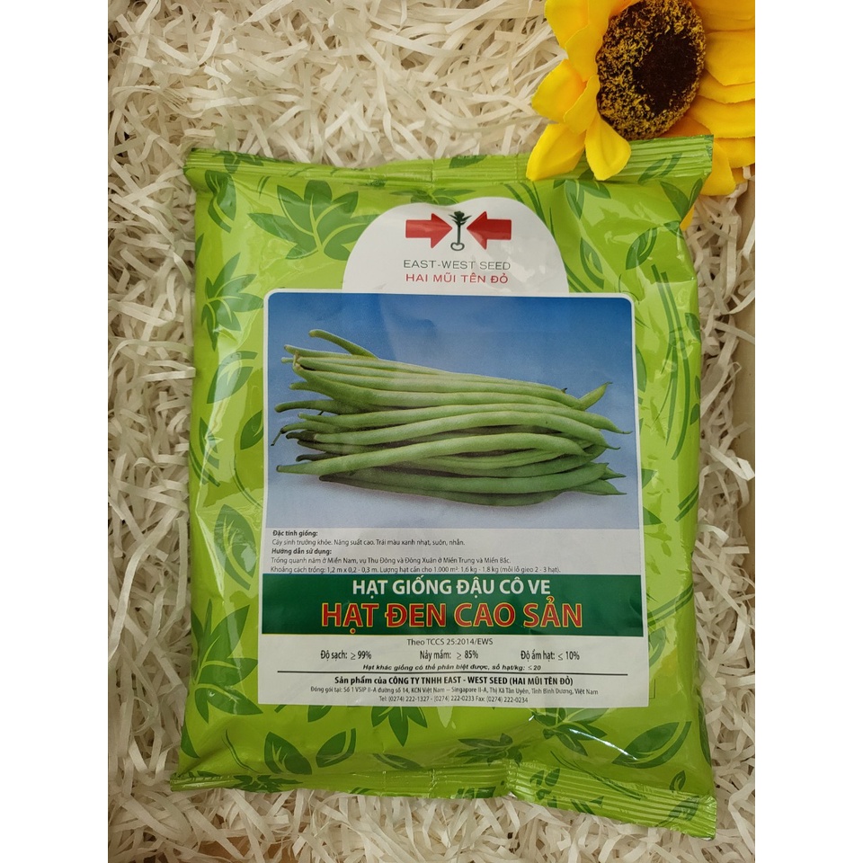 Hạt giống đậu cove hạt đen cao sản gói 500g Hai Mũi Tên Đỏ