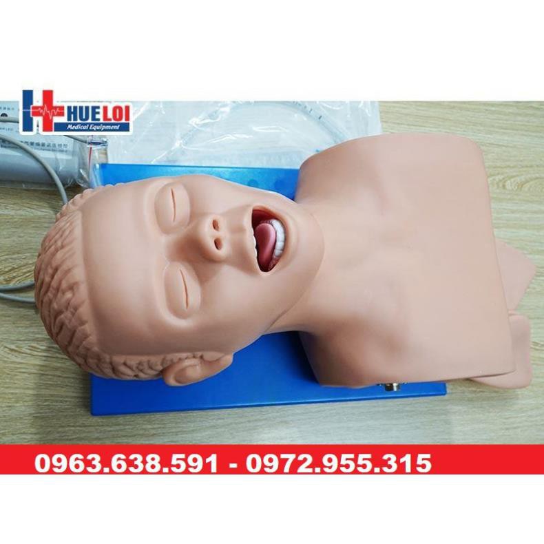 MÔ HÌNH THỰC HÀNH ĐẶT NỘI KHÍ QUẢN