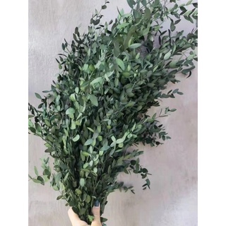 Lá khuynh diệp khô ❤️ lá bạch đàn khô , lá khô điểm phụ