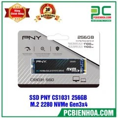 [Mã ELMS05 giảm 5% đơn 300k]Ổ cứng SSD 256G PNY CS1031 NVMe PCIe Gen3x4 M.2 2280