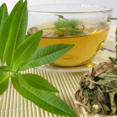 Trà cỏ roi ngựa - Lá cỏ roi ngựa sấy khô | BigBuy360 - bigbuy360.vn