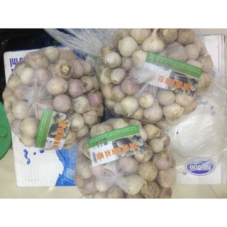 combo 1.5 kg tỏi cô đơn hà nội làm tỏi đen