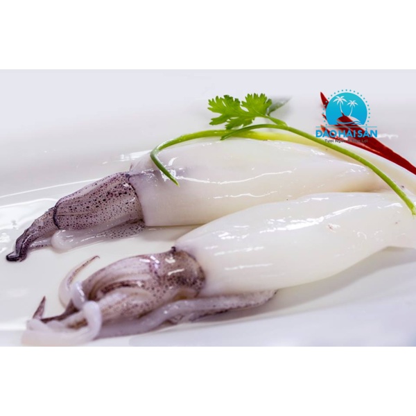 1kg Mực ống nguyên con cấp đông size to