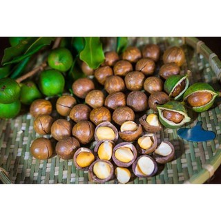 Macca Lâm Đồng  Sấy Nứt 500gr