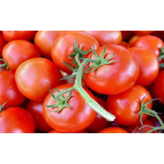 Bột cà chua nguyên chất (1kg)