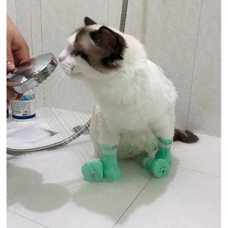 chụp chân tránh boss cào