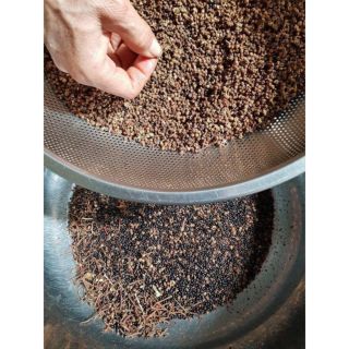 Mắc Khén Đã Rang Say Sẵn (100-200-500g)