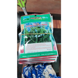 Hạt giống bí ăn ngọn