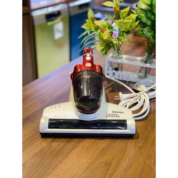 Hút đệm Hoover Đức