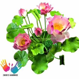 Hạt giống sen mini Nhật mix - 5 hạt