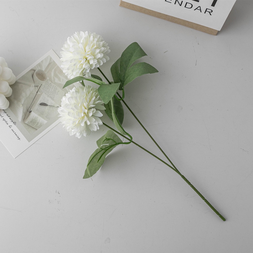 Cành hoa bồ công anh phong cách hàn quốc