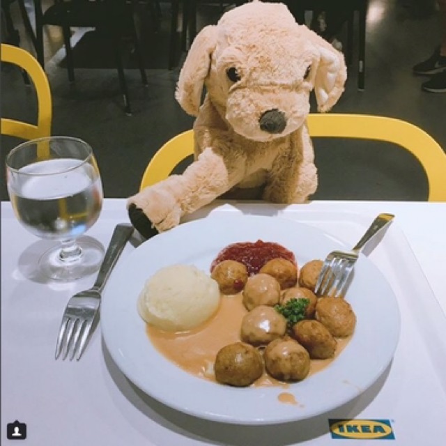 COMBO 2 CHÓ GOLD VÀ HOPPIG IKEA INDONESIA