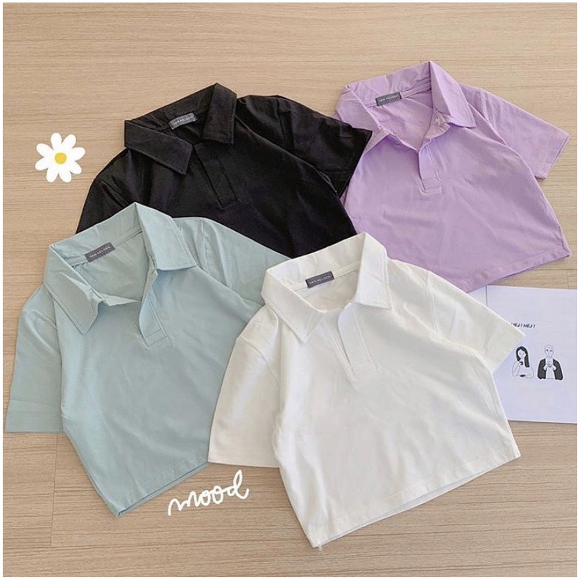 áo polo croptop thun cotton nữ ngắn tay | BigBuy360 - bigbuy360.vn