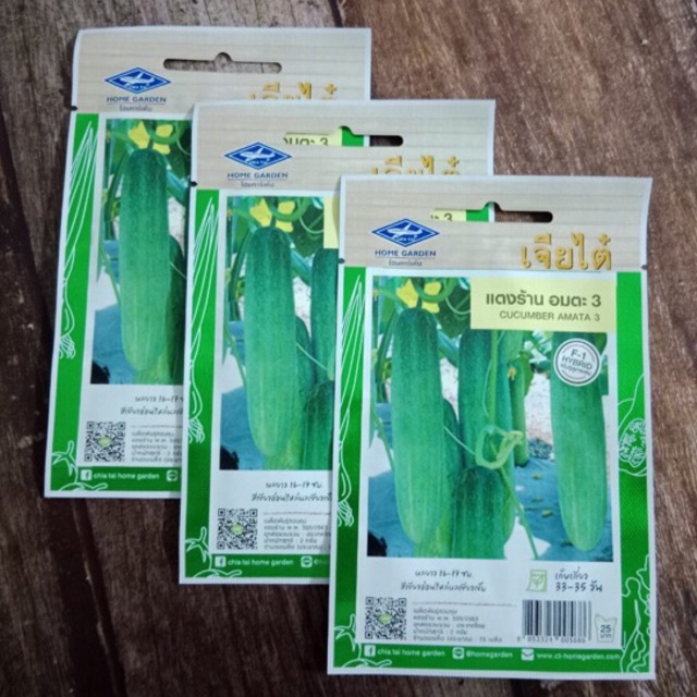 HẠT GIÔNG DƯA CHUỘT THÁI SIÊU QUẢ F1