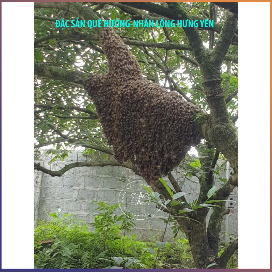 Mật ong nhãn hưng yên 1,4kg dung tích 750mml mật ong nguyên chất đặc sản hưng yên