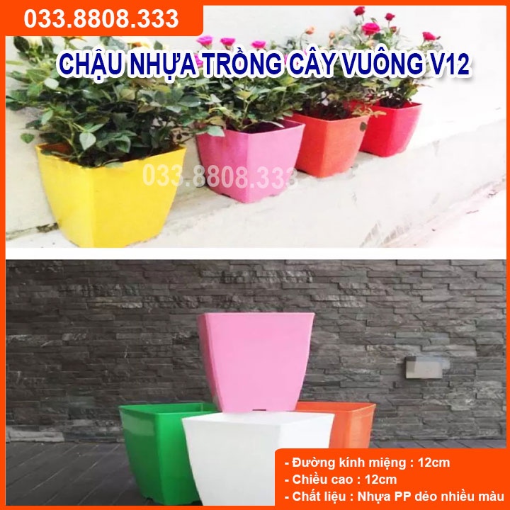 10 CHẬU NHỰA V12 MÀU BẤT KÌ- CHẬU BỀN ĐẸP BỀN