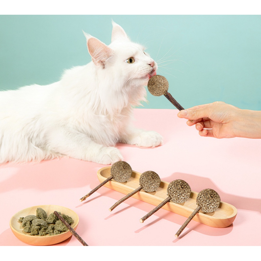 [HCM] Que bạc hà khô hình kẹo mút vị rau củ làm sạch răng dành cho mèo