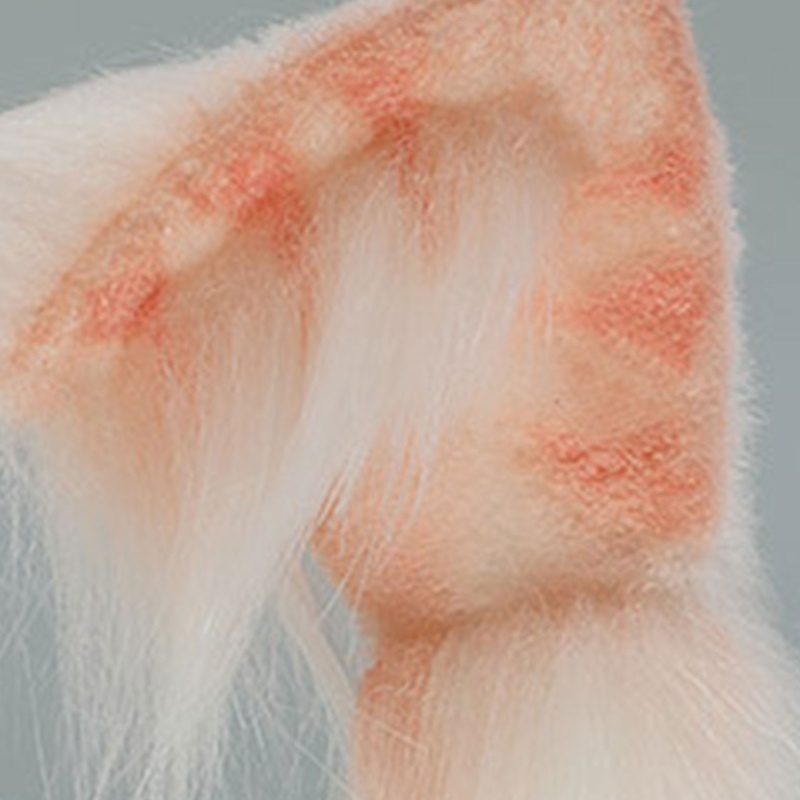 Flgo Băng Đô Tai Mèo / Cáo / Quái Vật Làm Bằng Tay Phong Cách Lolita Đáng Yêu