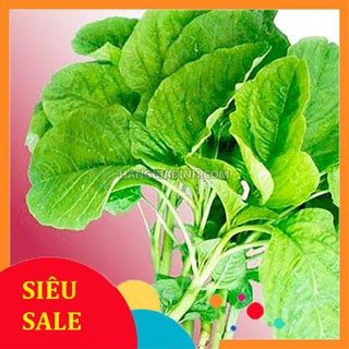 20g Hạt giống Rau Dền xanh