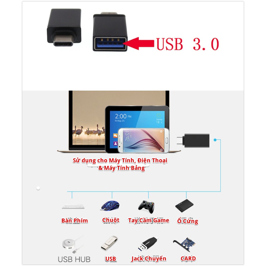 Adapter Chuyển USB-C Type-C Sang USB 3.0 - OTG030