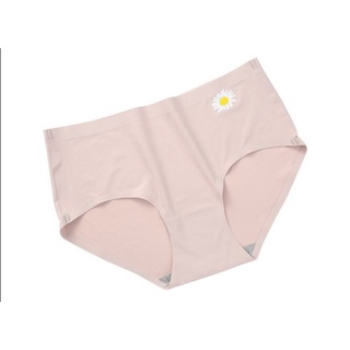 Combo 10 quần đúc hình cúc hoạ mi