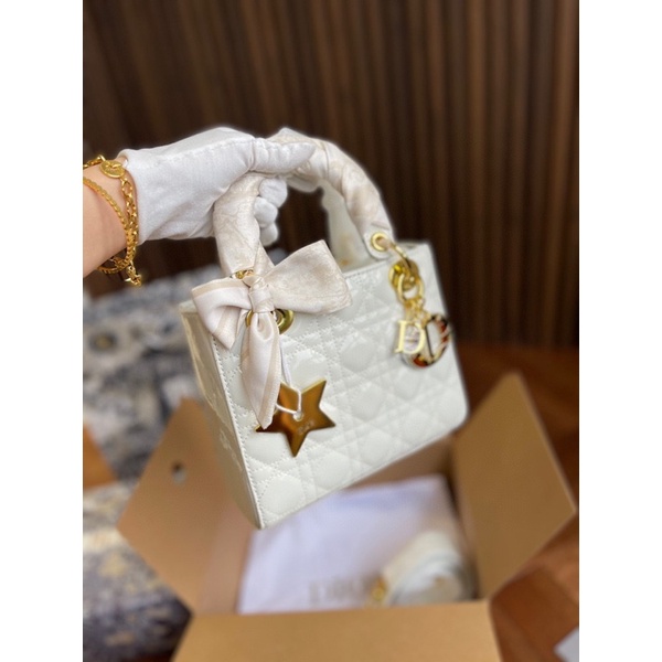 TÚI DIOR LADY SIZE 20CM