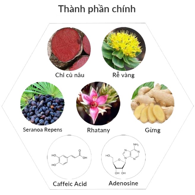 Bộ tẩy tế bào chết da đầu, dầu xả dưỡng tóc suôn mượt Dr.FORHAIR sạch gàu, giảm bết tóc