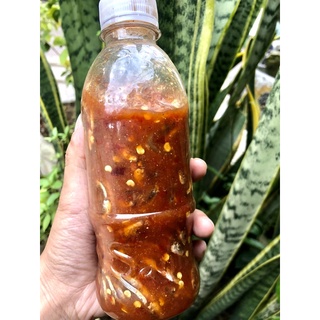 Mắm Nêm Cá Cơm Bình Định 500ml