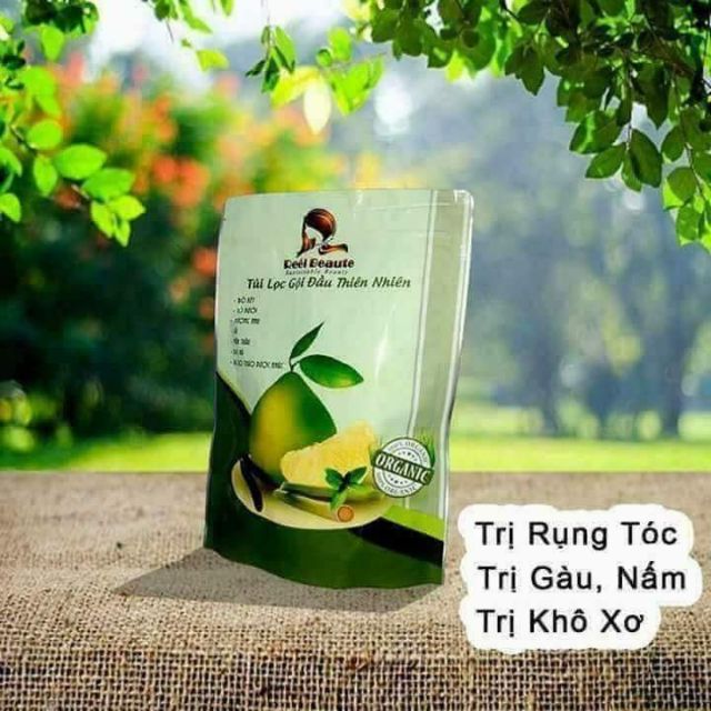 TÚI LỌC GỘI ĐẦU THIÊN NHIÊN REEL BEAUTE