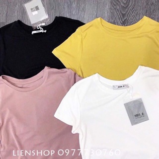 Sỉ áo phông cổ tròn nữ