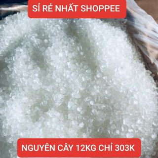 (Giá Sỉ rẻ nhất) Đường phèn kim cương cây 12kg
