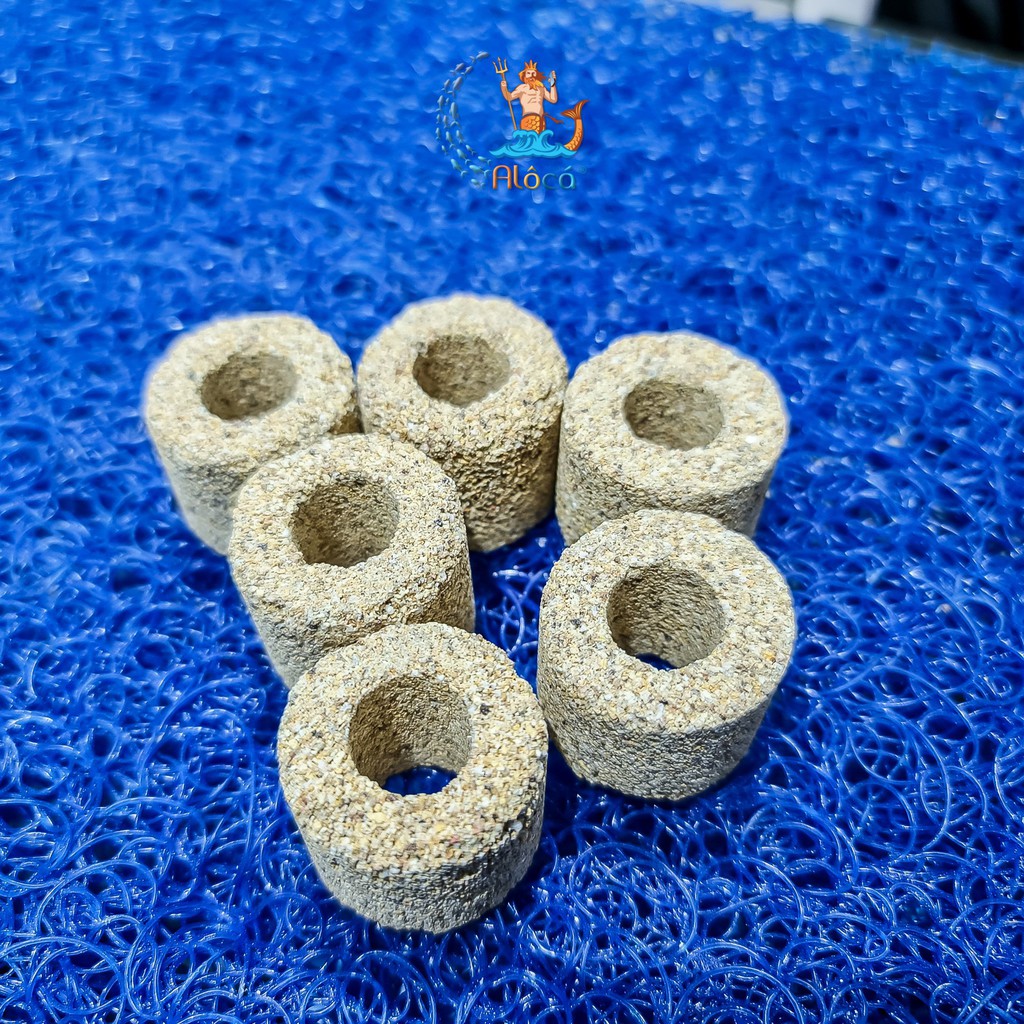 Bao 100g, 500g vật liệu lọc xử lý nước bể cá cảnh sứ viên trụ lỗ Yeben Bacteria Culturing Ring